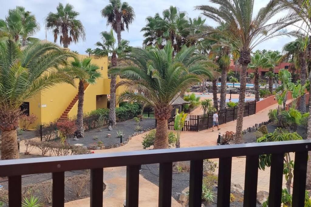 Appartamento Bouganville Con Terrazza E Piscina Corralejo Exterior foto